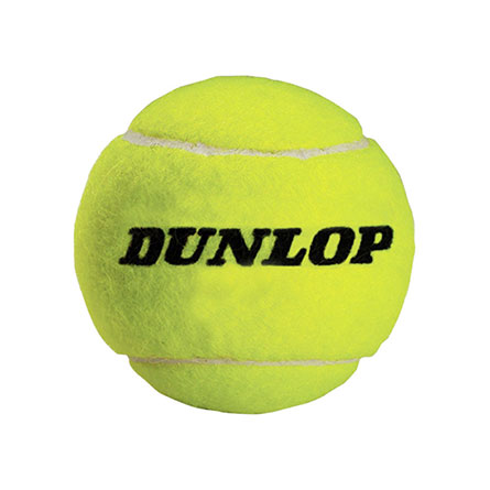 Oversized Autograph Tennis Balls